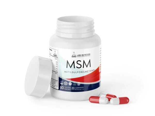 LABS NUTRITION - MSM METIL SULFONIL METANO 60CAPS
