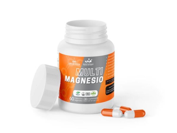 LABS NUTRITION - MULTI MAGNESIO 60CAPS