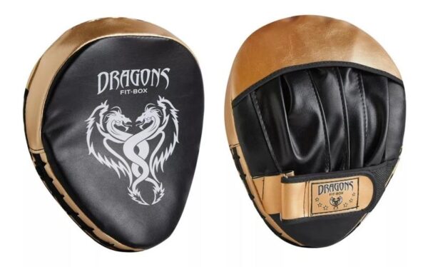 DRAGONS - FOCO CURVO PAR