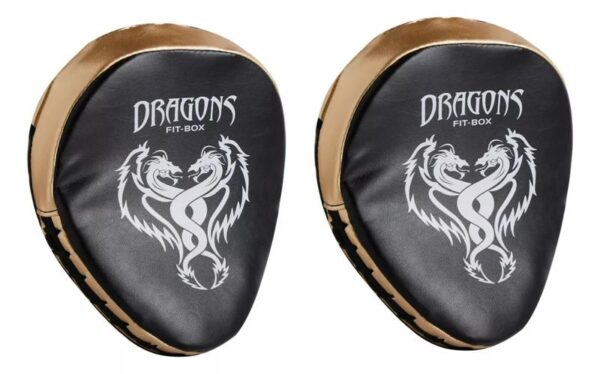 DRAGONS - FOCO CURVO PAR