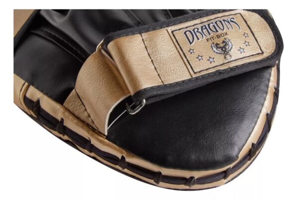 DRAGONS - FOCO CURVO PAR