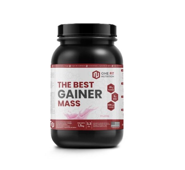 ONE FIT - THE BEST GAINER 1.5KG