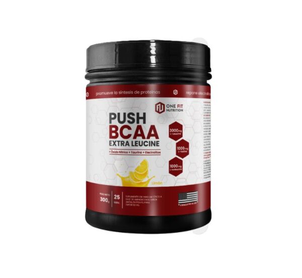 ONE FIT - PUSH BCAA 360GR